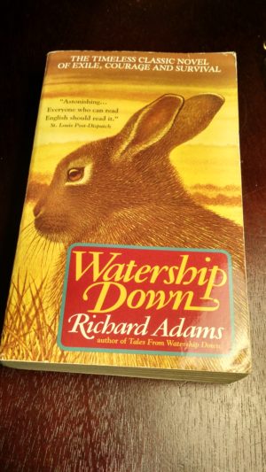 reading rabbits stories Tolkien